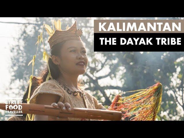 Kalimantan | The Dayak Tribe