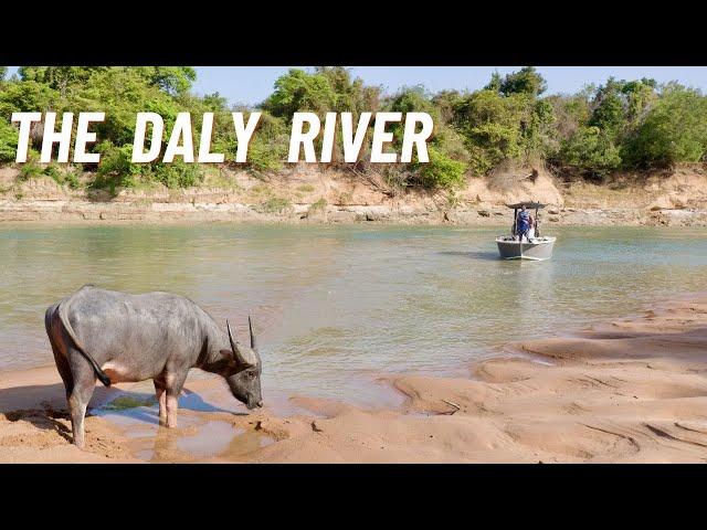 Is this the WILDEST River in the Territory?? Crocodiles,  Buffalo & Barramundi in the Daly River