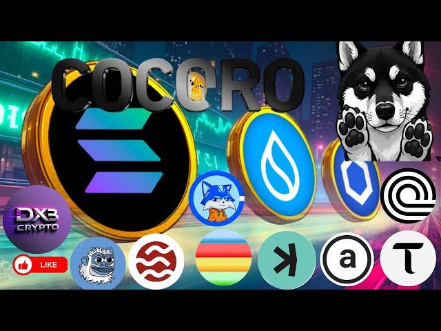 Huge Updates: SUI, Kaspa, TAO, LOFI! Cocoro 100% Backed by SHIB! Bonus Coins Revealed! MUST WATCH