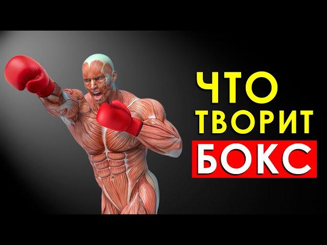 Что Произойдет с Вашим Телом, Если Заниматься Боксом