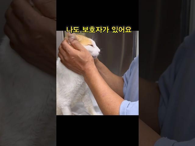 꼭 데리러 올거야…