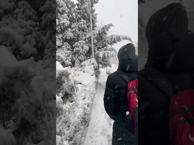 Winter #aesthetic #love #music #chill #best #polska #ukraine #interstellar #movie #soundtrack
