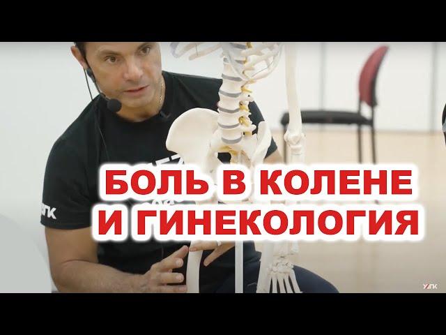 Боль в колене и гинекология - какая связь? (Глеб Кирдогло)