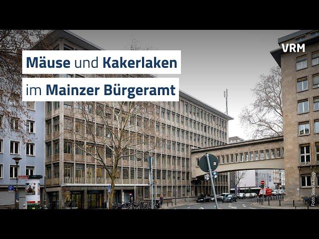 Kakerlaken und Mäuse im Mainzer Bürgeramt