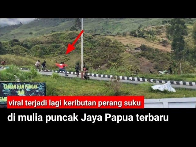 terbaru perang suku terjadi lagi di mulia puncak jaya Papua