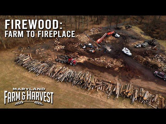 One Farm Makes Firewood a "Blazing" Success | Maryland Farm & Harvest