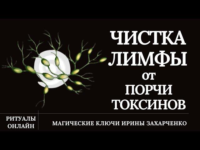 Чистка. Лимфа-lymph. Порча, недомогания, лишняя жидкость, воспаление, хронические болезни.