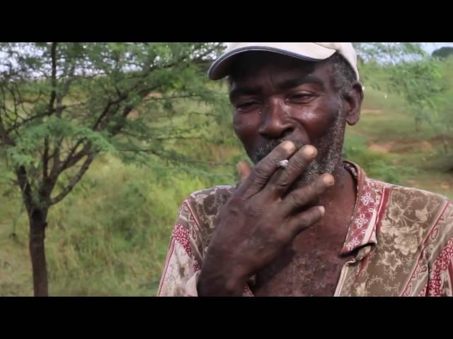 Haiti's Last Tree #Film4Climate