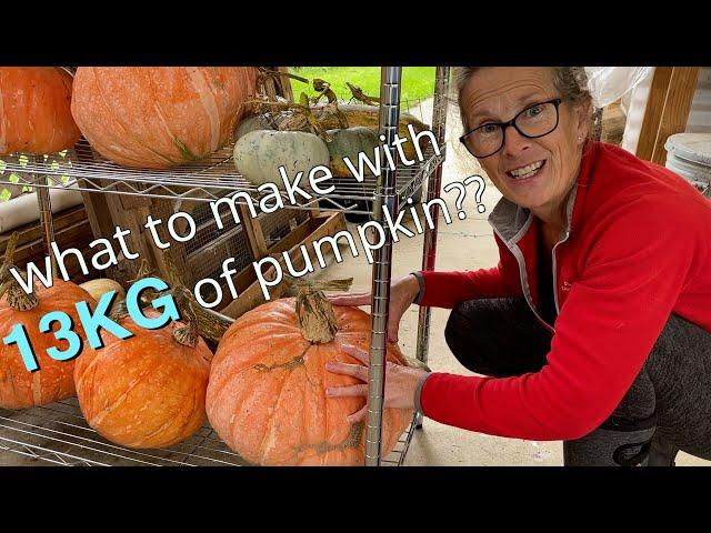 My 7 Day Pumpkin Challenge |  Pumpkin Recipes and Preserving