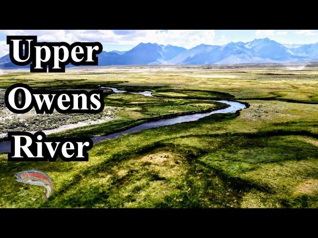 45 Minutes To Find Fish | Upper Owens River Near Mammoth Lakes, California (trout fishing)