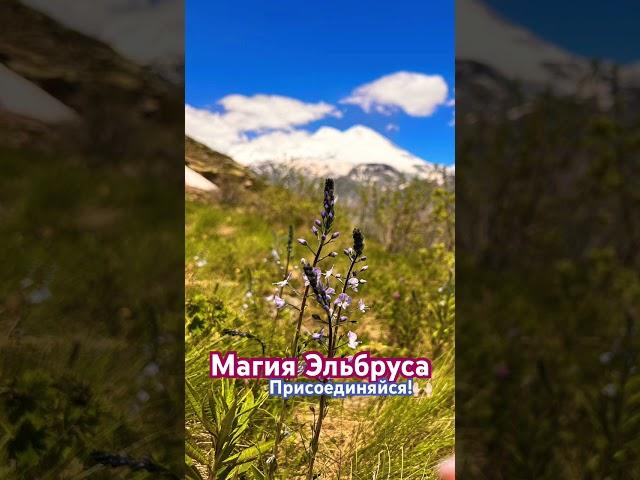 Волшебный Эльбрус исполняет желания️Ты с нами? #mountains #magic  #travel #горы #магия #местосилы