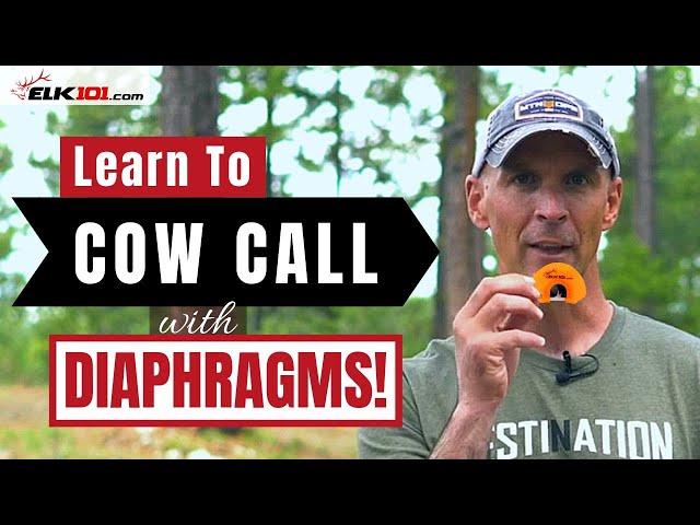 How to Cow Call with Diaphragm Elk Calls