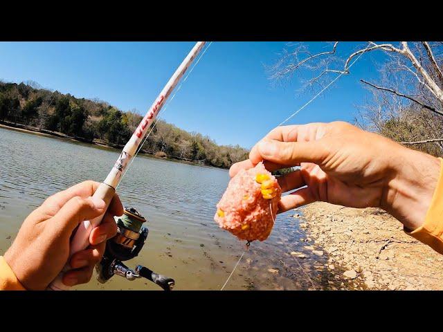 Carp Fishing With Corn and Pack Bait