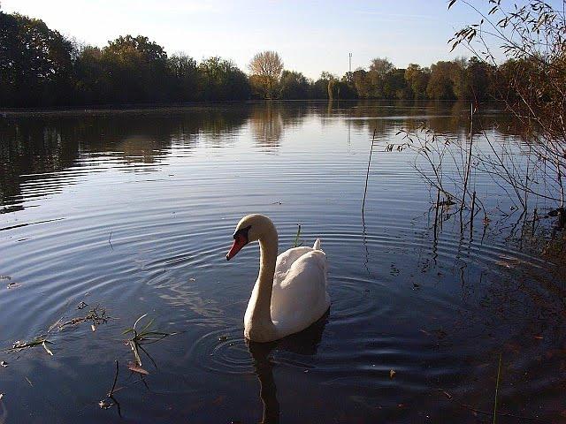 Twyford, Berkshire