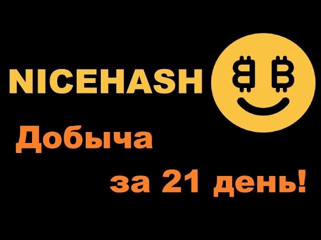 МАЙНИНГ НА NICEHASH С ДВУХ ВИДЕОКАРТ ЗА 21 ДЕНЬ!