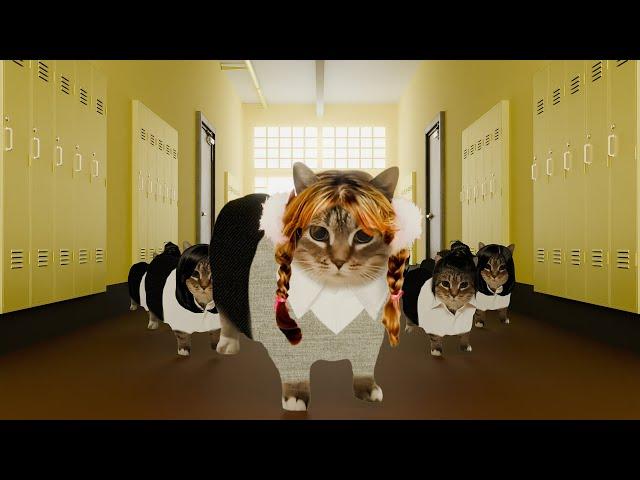 OIIA Cat x Baby One More Time (Britney Spears Remix)