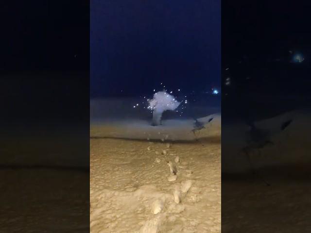 Самое большое питарды в озон