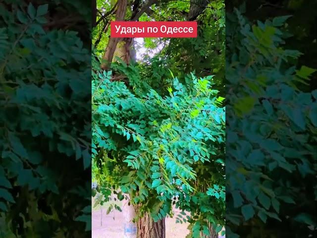 Удары по Одессе #лилияковаленко #odessa