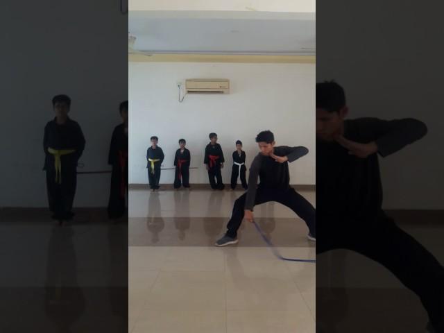 Kung fu Martial art move by Ram Sir