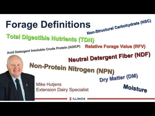 Forage Definitions