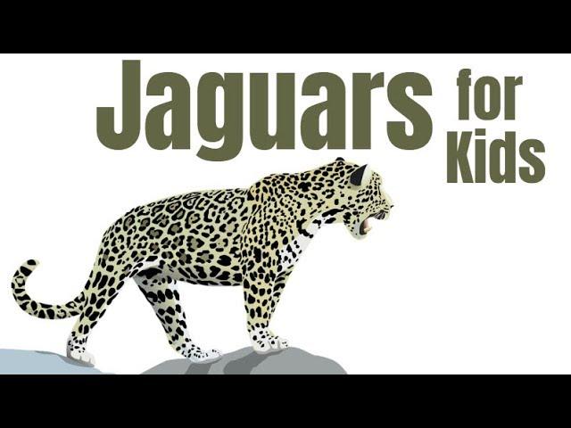 Jaguars for Kids