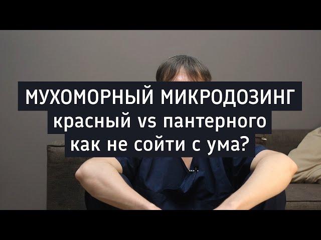 Мухоморный микродрозинг | сравнение красного и пантерного мухоморов | чего опасаться?