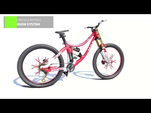 Suspension System Simulation for Mountain Bicycles