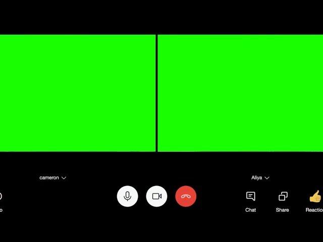 Zoom Video Conferencing Green Screen Footage [ Virtual Background ]