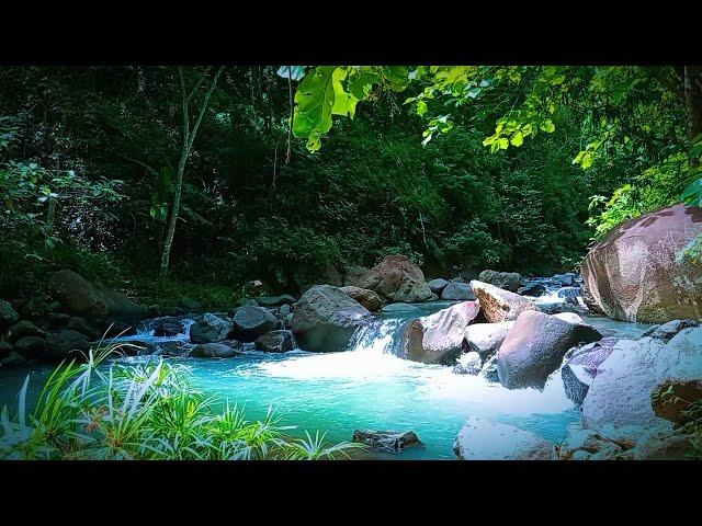 Tranquil River Ambience – Pure Nature Sounds for Meditation