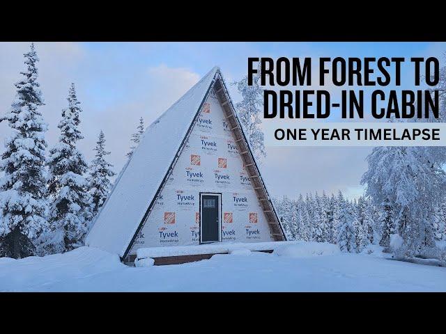 Building Our Off Grid Cabin in Alaska | One Year TIMELAPSE