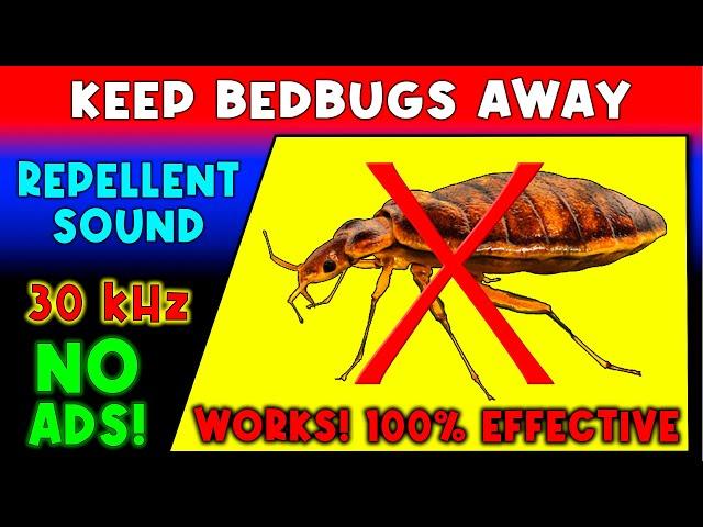 ANTI BEDBUGS REPELLENT SOUND  KEEP BED BUGS AWAY - ULTRASONIC SOUND