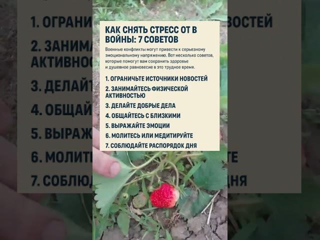  КАК СНЯТЬ СТРЕСС ОТ ВОЙНЫ: 7 ЭФФЕКТИВНЫХ СОВЕТОВ #україна