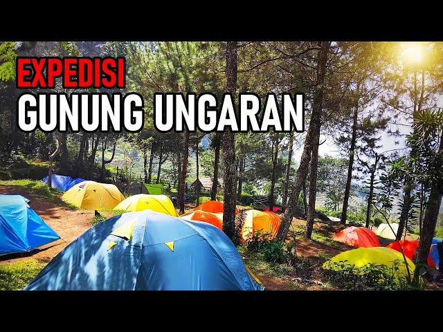 Markas pejuang di kebun bunga lereng gunung Ungaran