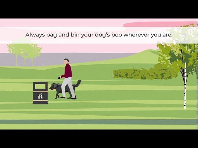 Bag and bin your dog’s poo