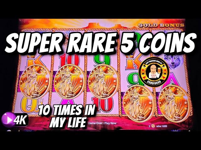 THE SUPER RARE 5 COIN BONUS on Buffalo Gold