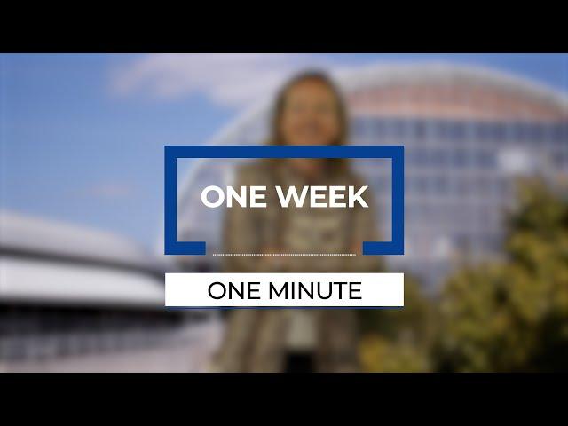 One Week, One Minute: Cohesion policies and green cities