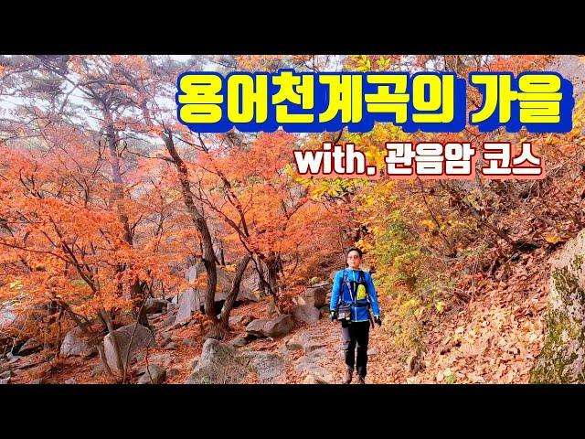 (2024.11.4) 용어천계곡 / 관음암 / 가을속의 가을길 / 도봉산