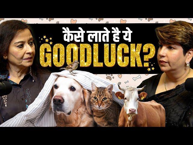 Pet Care Se Shraddh Tak: समझिए जानवरों की अहमियत"