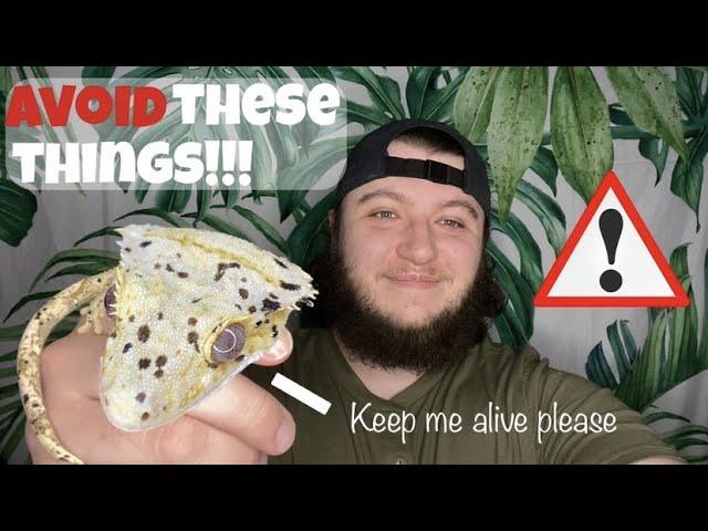 Top 5 MISTAKES to avoid doing to your CRESTED GECKO!