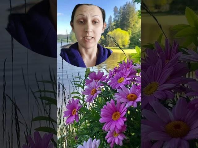 Когда все уже станет лучше в мире?