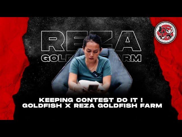 KEEPING CONTEST DO IT ! GOLDFISH X REZA GOLDFISH FARM