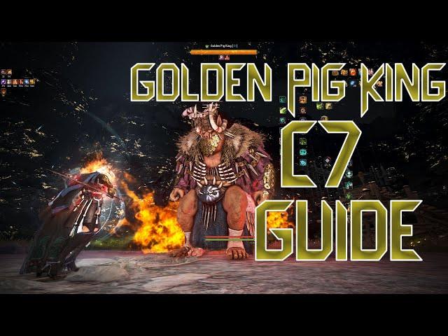 BDO - Golden Pig King C7 Guide