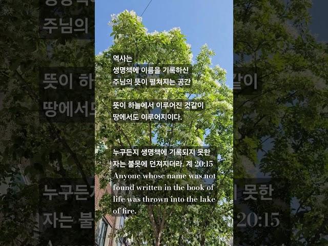 주님의 뜻대로