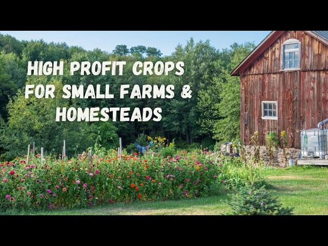 High profit crops for small farms and homesteads