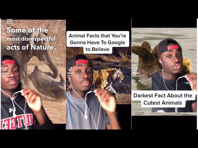 Ruining your favorite animals for 10 minutes straight