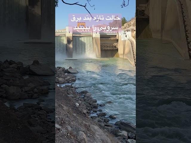 #shorts #viral #surubi #water #dam #afghanistan