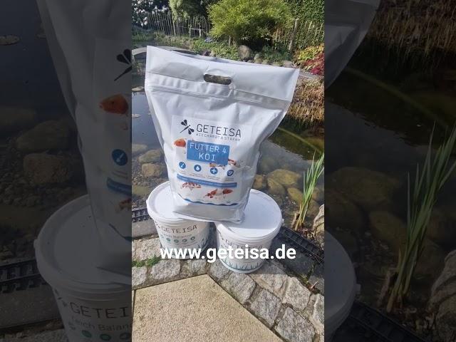 Wir freuen uns mega über Euer Vertrauen in GETEISA! #gartenteich #koi #garten #fische #pets #ponds