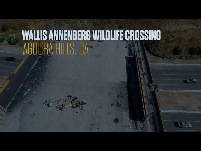 Project Highlight: Wallis Annenberg Wildlife Crossing