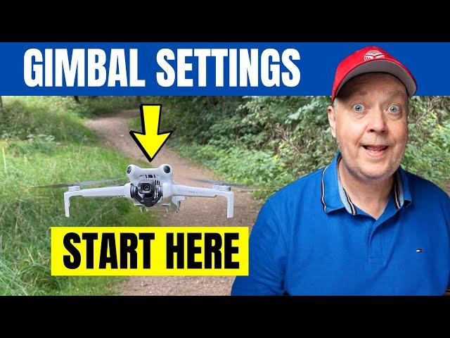 The BEST Gimbal Settings for DJI Mini 4 Pro