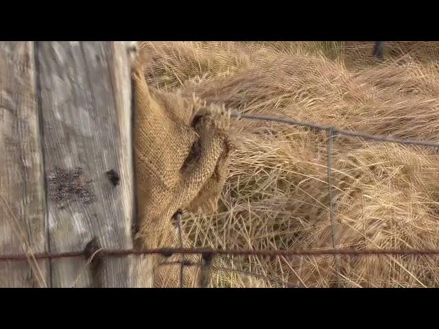 NETWORK RAIL COVERT CAMERA: UPDATE 